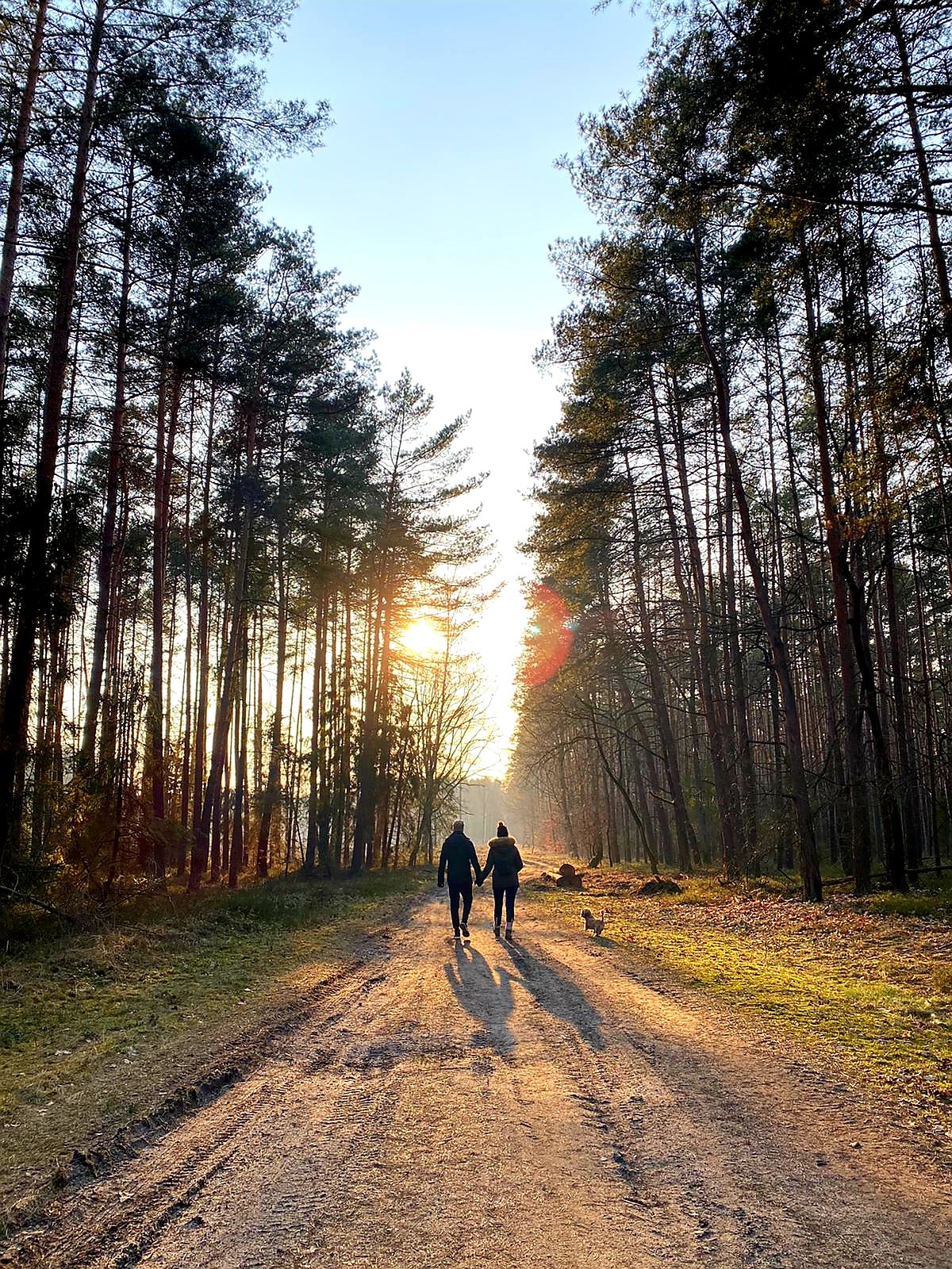 Christus vivit „Młodość i starość. Jezus podnosi”